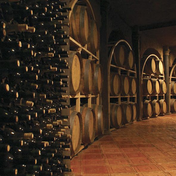 CIRCUITO DEL VINO